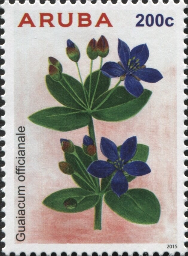 Decommissioning of RMS St Helena II