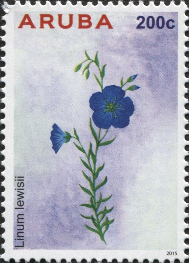 St Marys Church, Georgetown