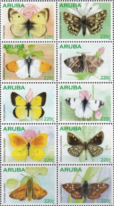 Surgeon's Hat, Sword & Instruments