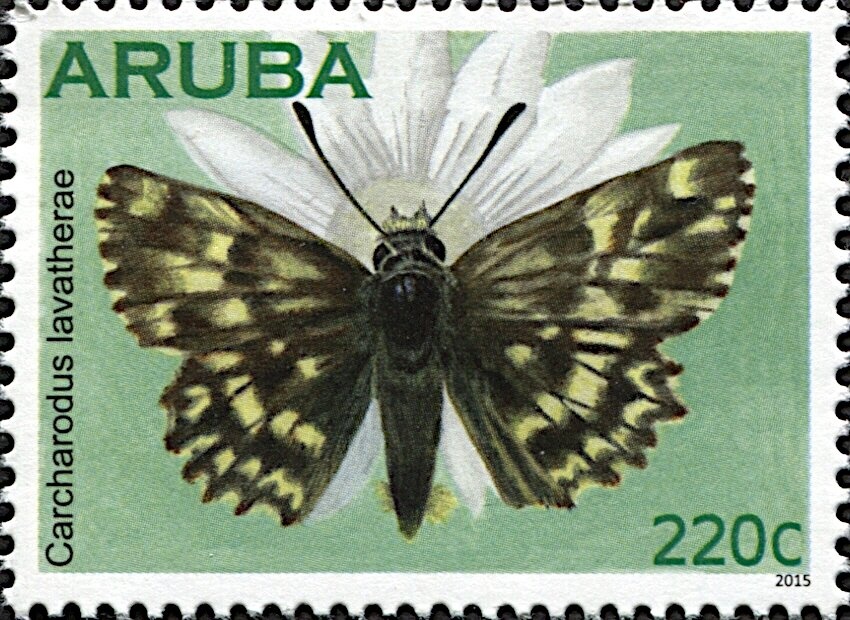 Symbolical Interpetration