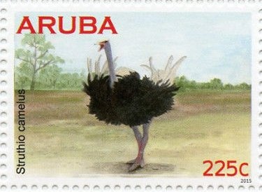 Fleecy Milkcap (Lactarius vellereus)