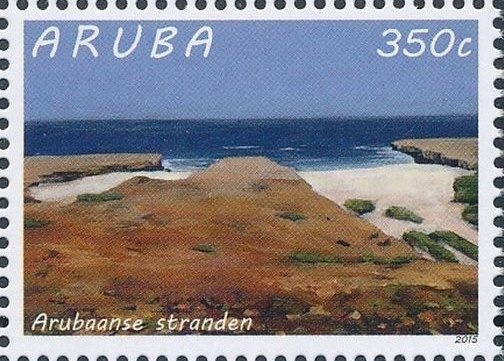 Green Sea Turtle (Chelonia mydas)