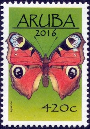 Plate Fish (Bothus lunatus)