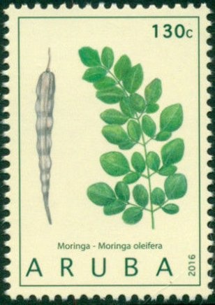 Coronation of Queen Elizabeth II