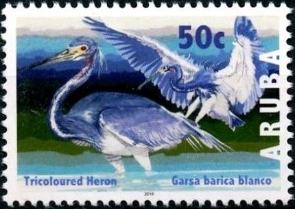 Paintings by Jan Vermeer (1632-75)