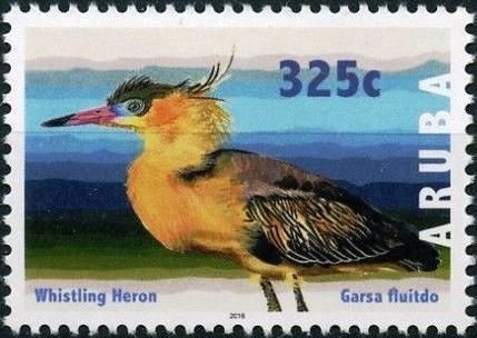 Snowy Egret (Egretta thula)