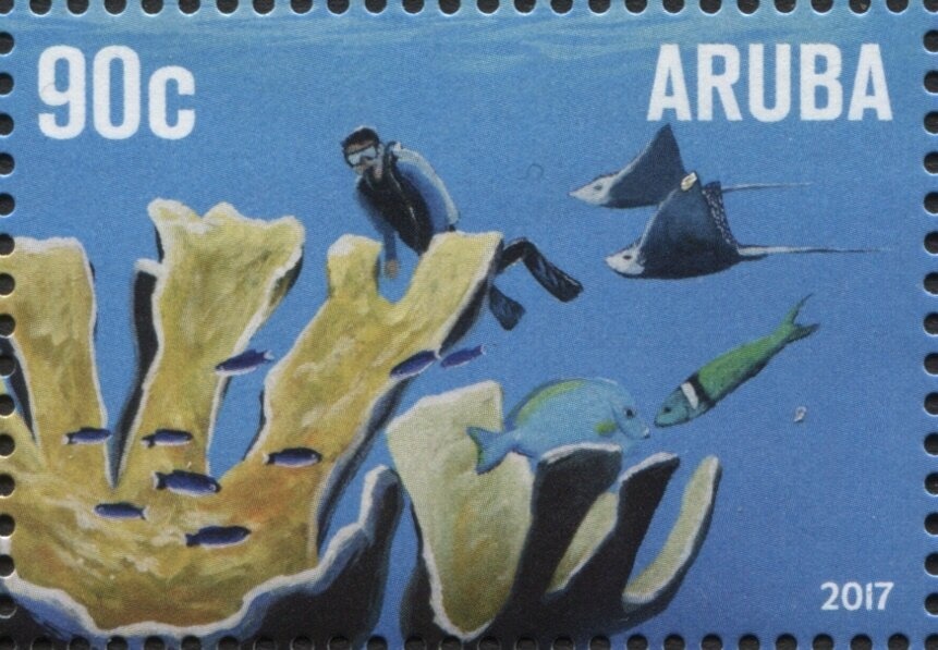 Kolanchoe (Bryophyllum pinnatum)