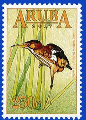 Silverfish (Trachinotus ovatus)