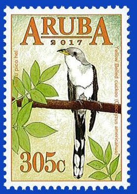 Loggerhead Turtle (Caretta caretta)