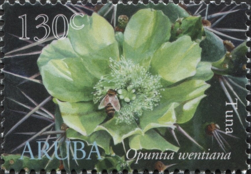 Edmond Halley and Greenwich Observatory