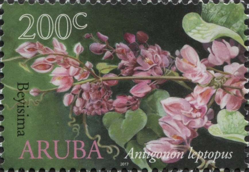 Bristol Britannia C.2