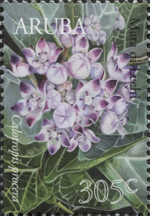 Banknote - 50 Centavos, Philippines 1949