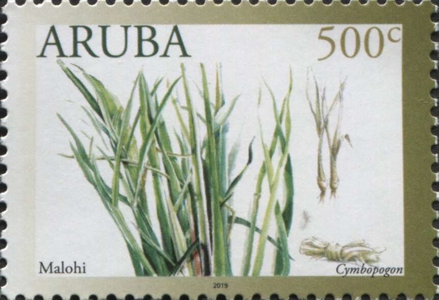 Mariner 7,View of Mars