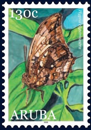 Turtle Research and Conservation