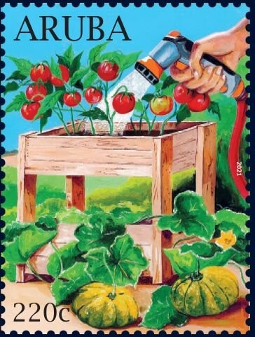 Yellow Oriole (Icterus nigrogularis)