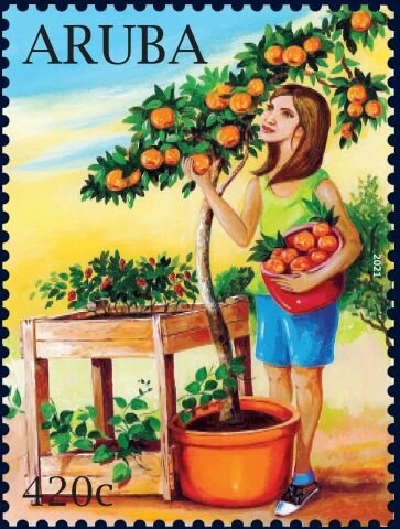 Pipe Construction, Cannon