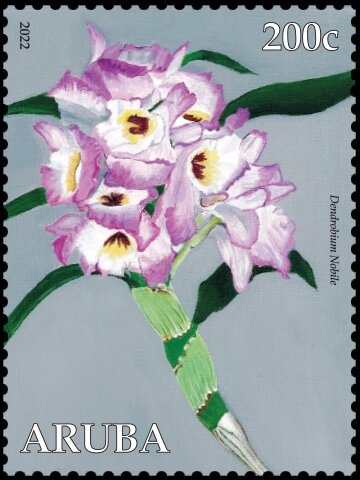 Prince Edward and Sophie Rhys-Jones