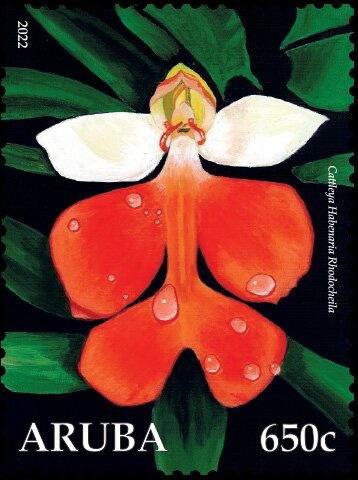 Frederick Hendrik (Henry) Habibe, Poet