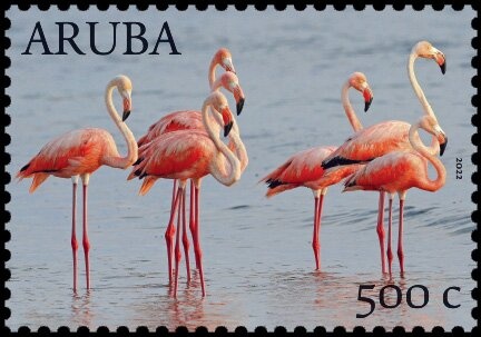 Maripampun - Blossom