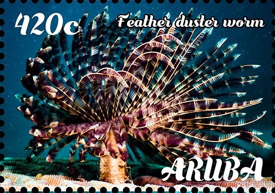 Map of Ascension Island