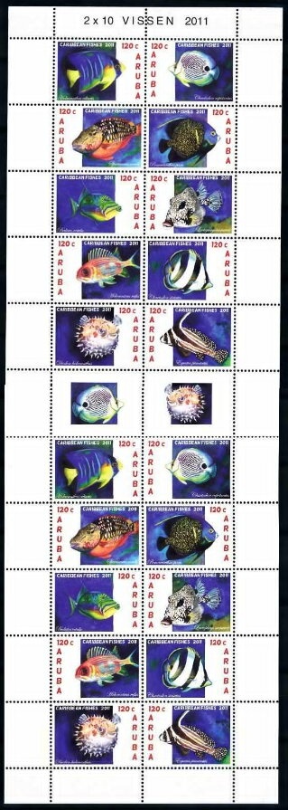 Mt. Roland, Tasmania (2nd Reprint - 2 Koalas)