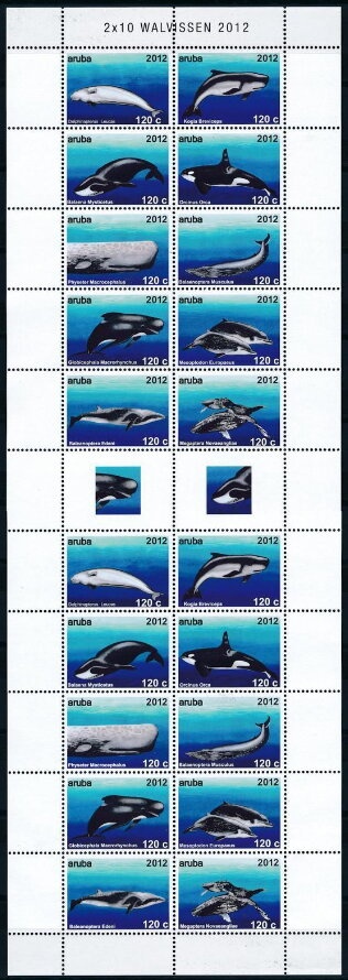 Amsonia tabernaemontana