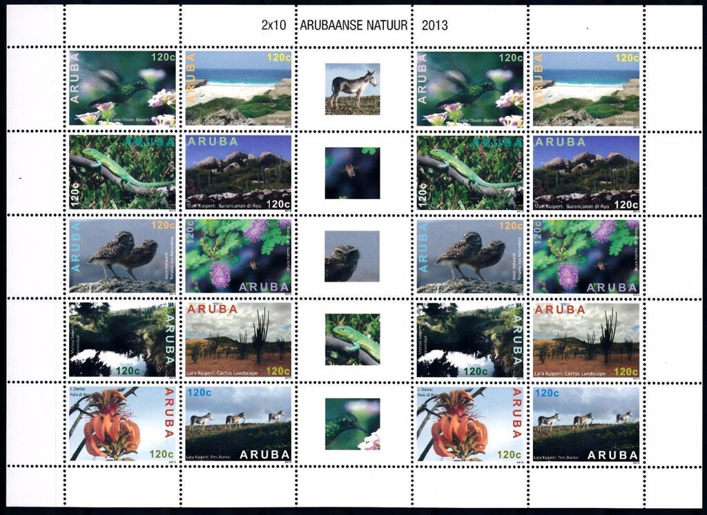 Moringa (Moringa oleifera)