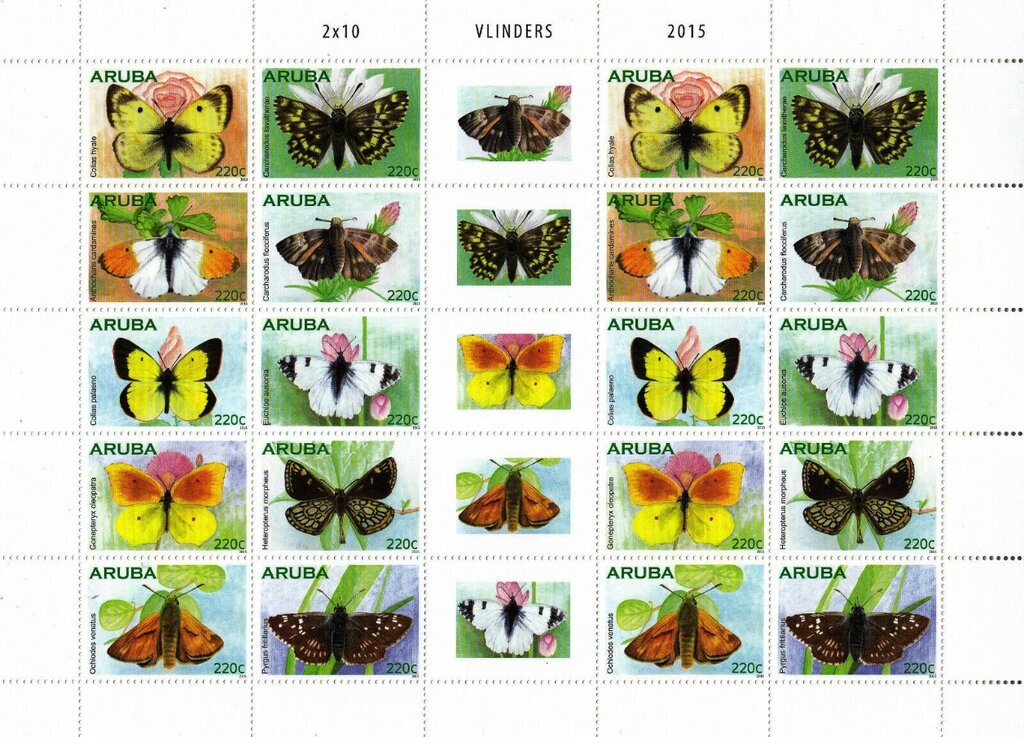 Green Turtle (2019 Imprint)