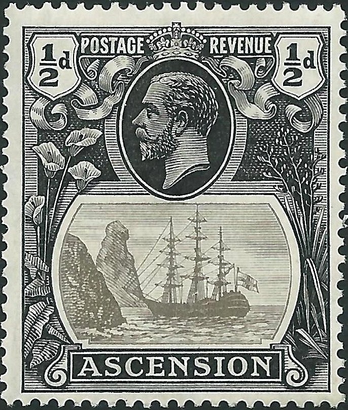 Resplendent Pygmy Angelfish (Centropyge resplendens)