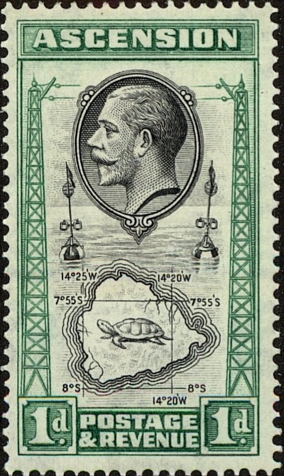 Atlantic Sailfish (Istiophorus albicans)