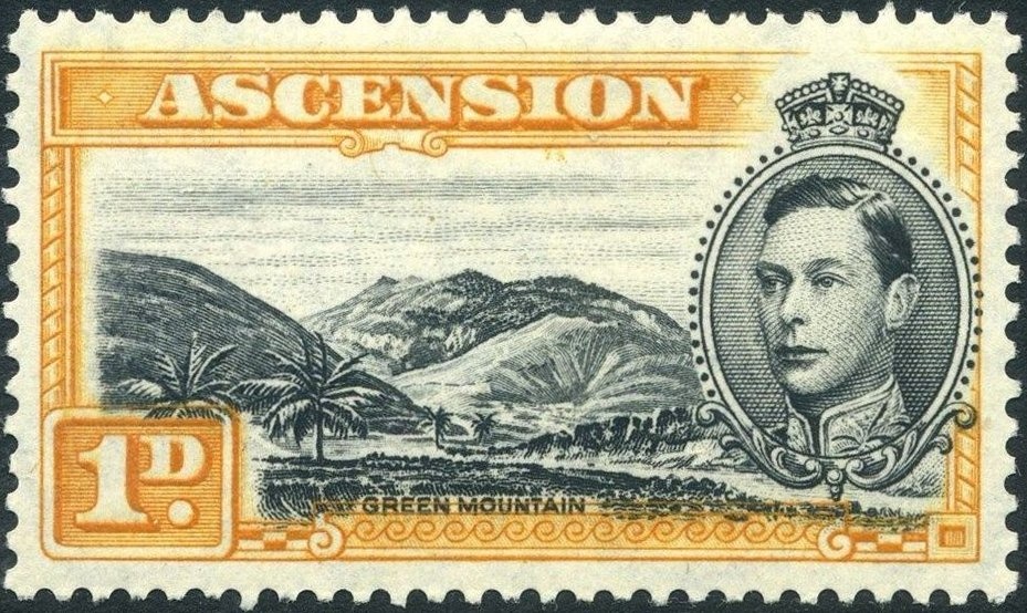 Lesser Lophorina (Lophorina superba)