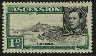 Black Jack (Caranx ascensionis)