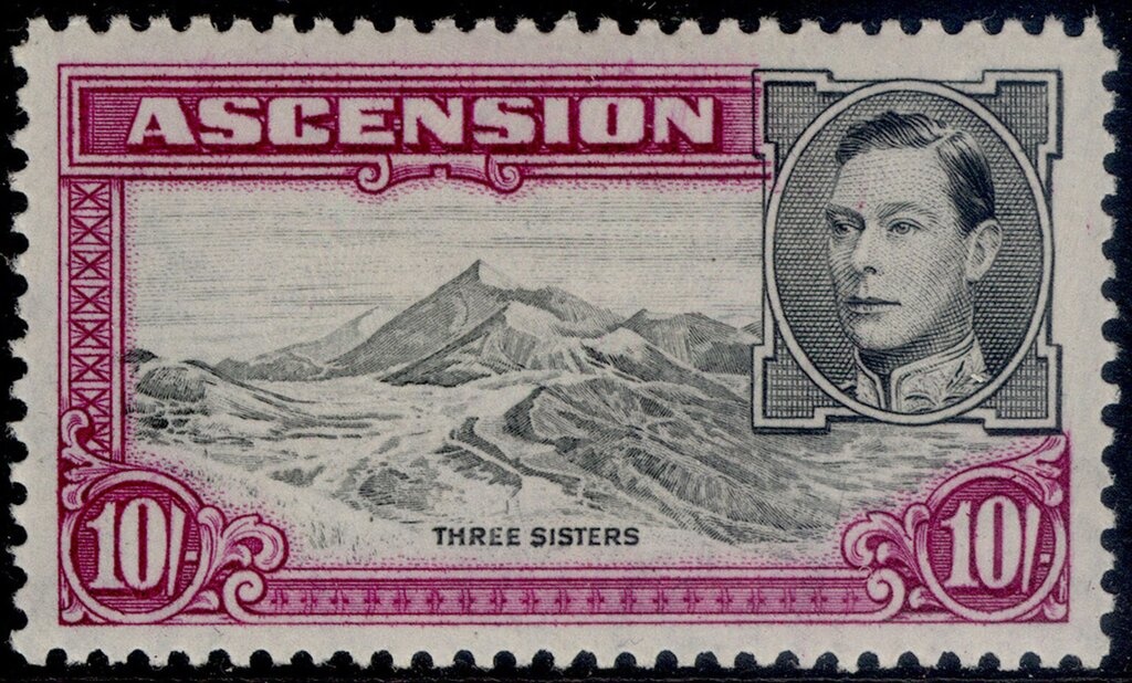 Atlantic Spotted Dolphin (Stenella frontalis)