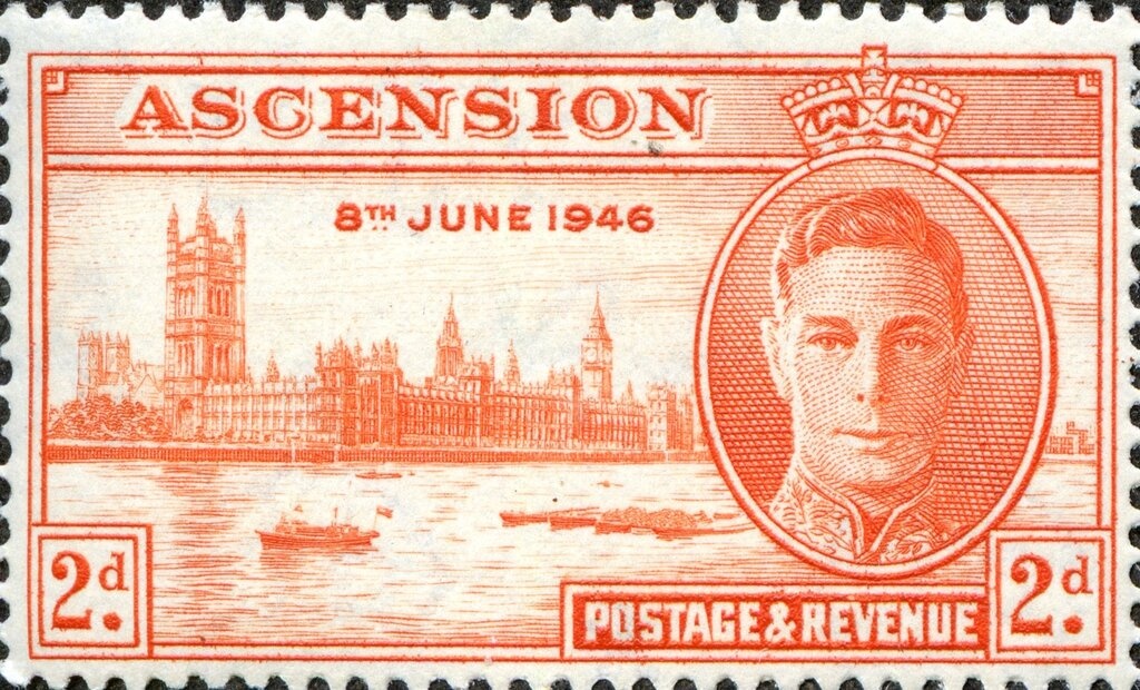 White-Tailed eagle (Haliaeetus albicilla)