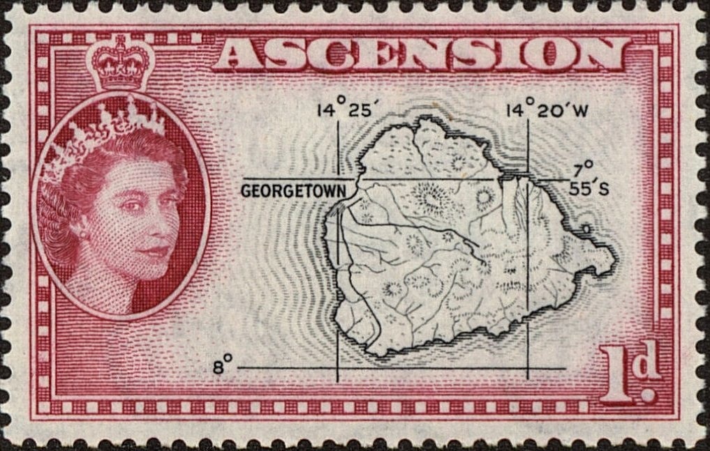 Pygmy Sperm Whale (Kogia breviceps)