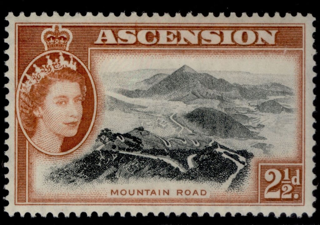 Block of 4, Women's Dresses