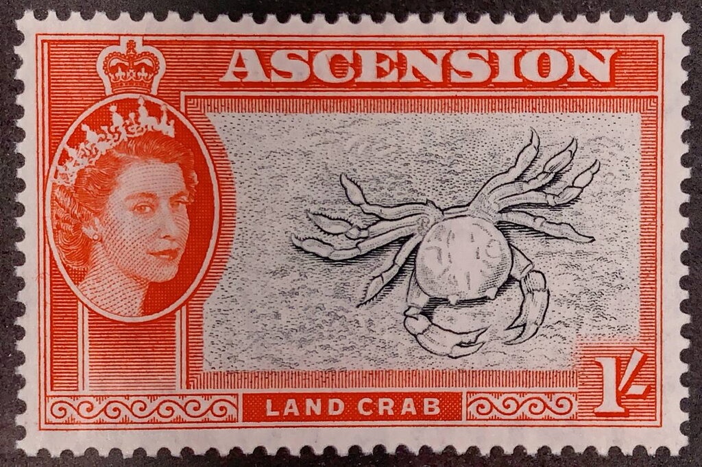 Kakadu National Park, Northern Territory Gutter Strip