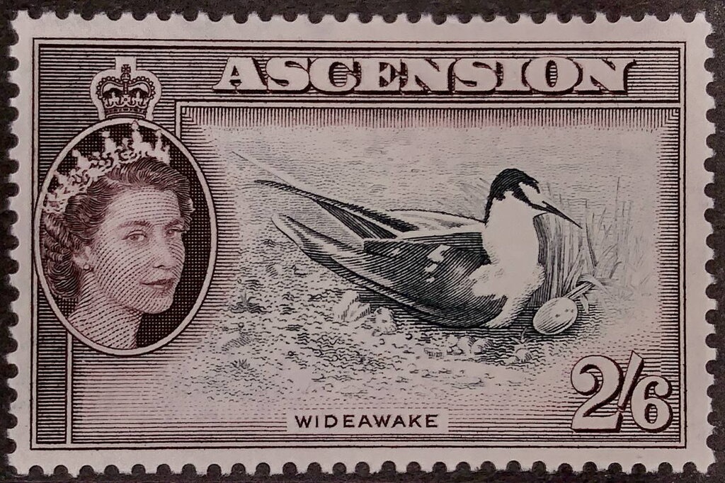 Officers at Water Pipe Tunnel