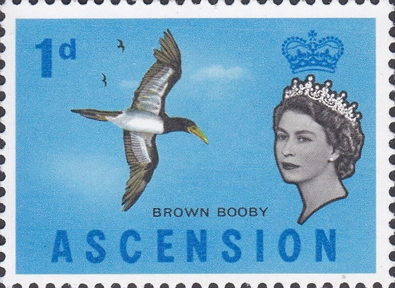 Table Cape, Tasmania