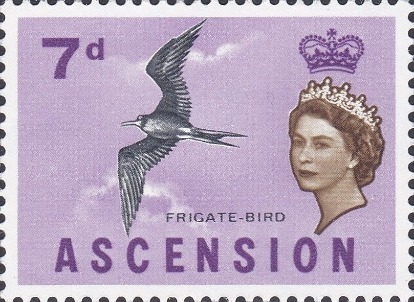 Turtle Research and Conservation