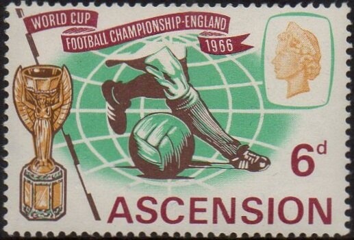 Lyre Bird (Menura novaehollandiae)