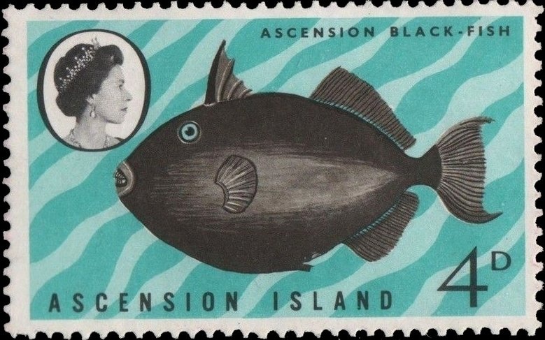 Palm tree, marine life, wall made of paper