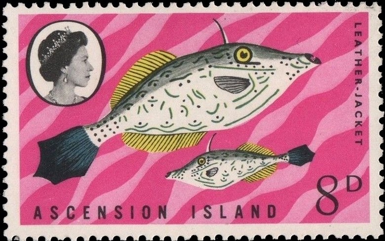 Duke of Wellington & Battle of Waterloo