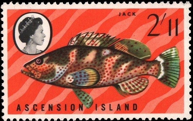 MyStamps - Square shape