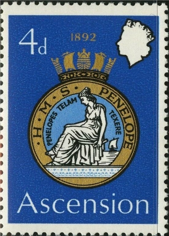 Housefly (Musca domestica)