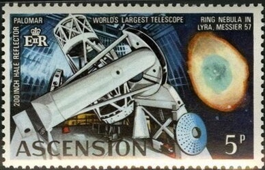 Green Sea Turtle (Chelonia mydas)