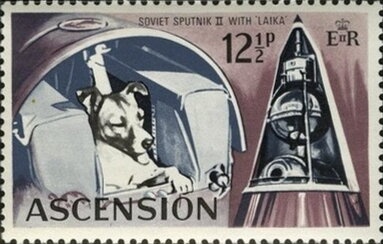 2018 Winter Olympics, PyeongChang South Korea