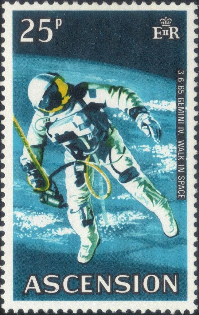 Resplendent Pygmy Angelfish (Centropyge resplendens)