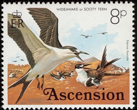 "Still Life with Silver Pot & Porcelaine Jug" (Willem Kalf)