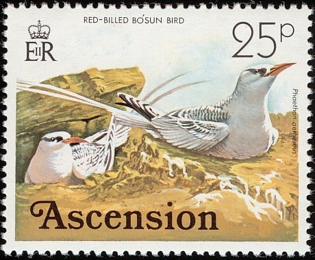 "Starry Night" (Vincent van Gogh)